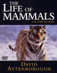 No Image for THE LIFE OF MAMMALS DISC 1