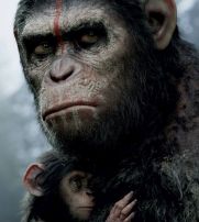 No Image for DAWN OF THE PLANET OF THE APES