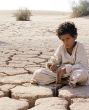 No Image for THEEB
