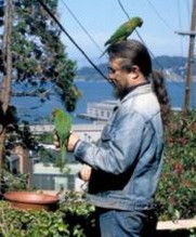 No Image for THE WILD PARROTS OF TELEGRAPH HILL